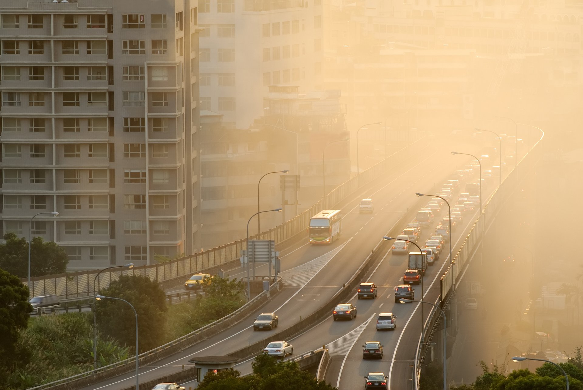 Study: Ozone pollution bad for cardiovascular health