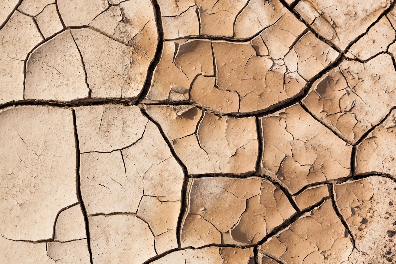 Severe drought plagues North Dakota farmers