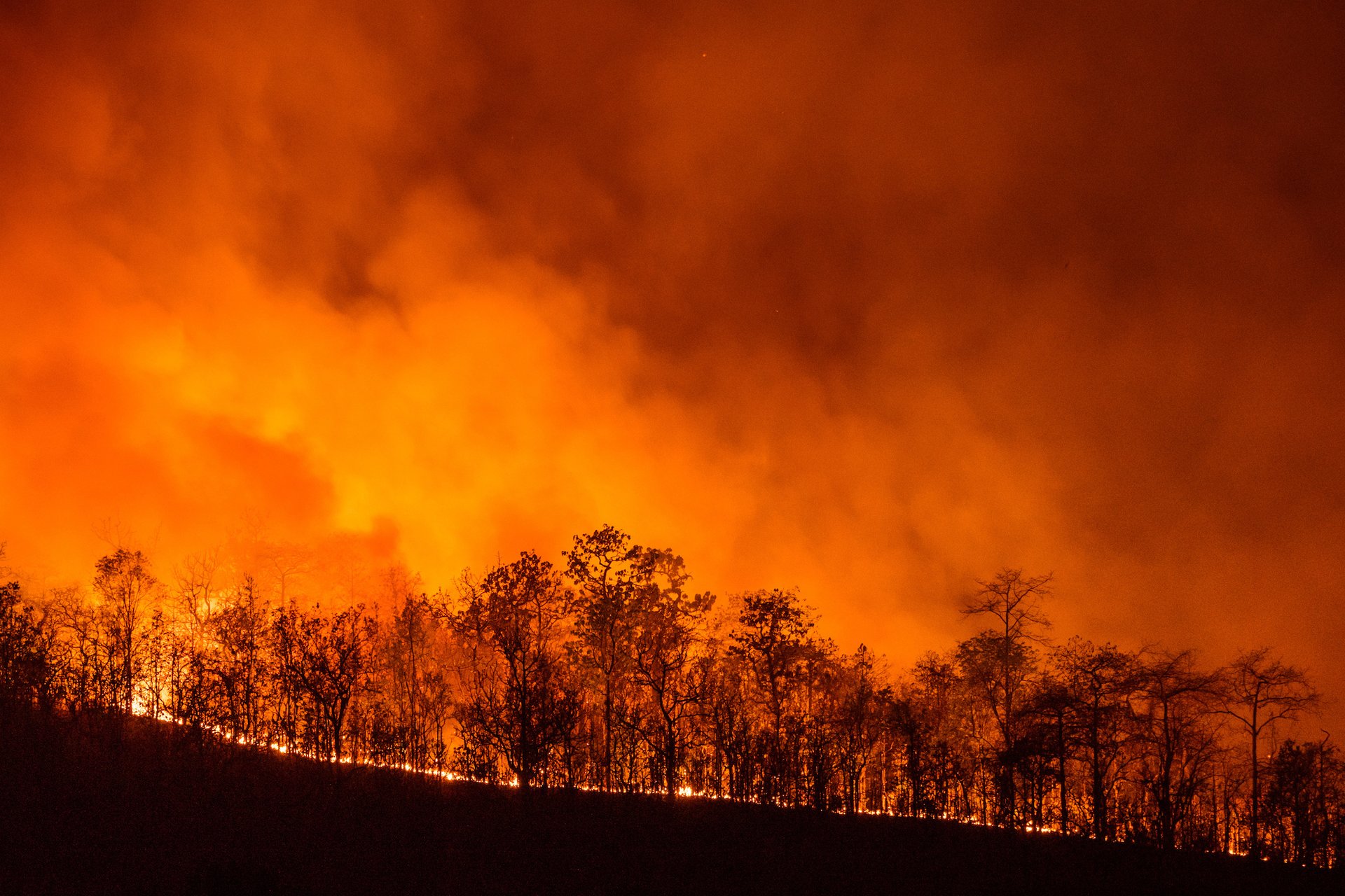 The complicated nature of wildfires
