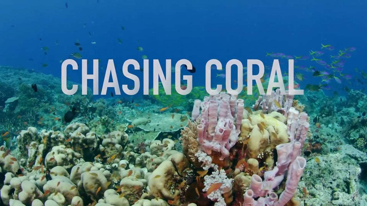 Earth.com film review: Chasing Coral