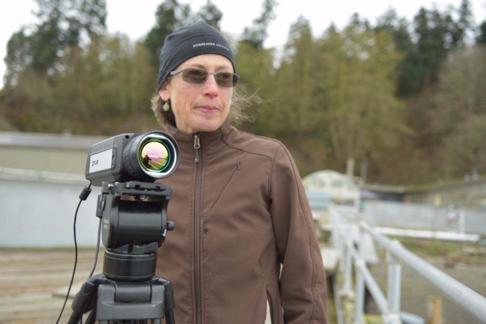 Military tech could protect bats and birds from wind turbines