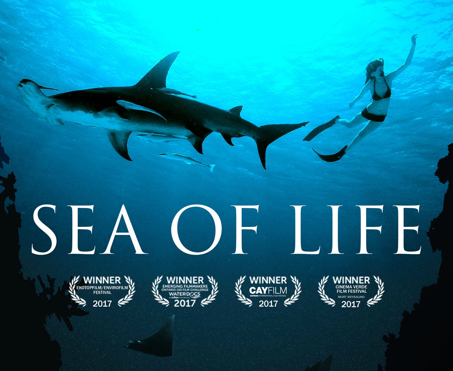 Earth.com movie review: Sea of Life