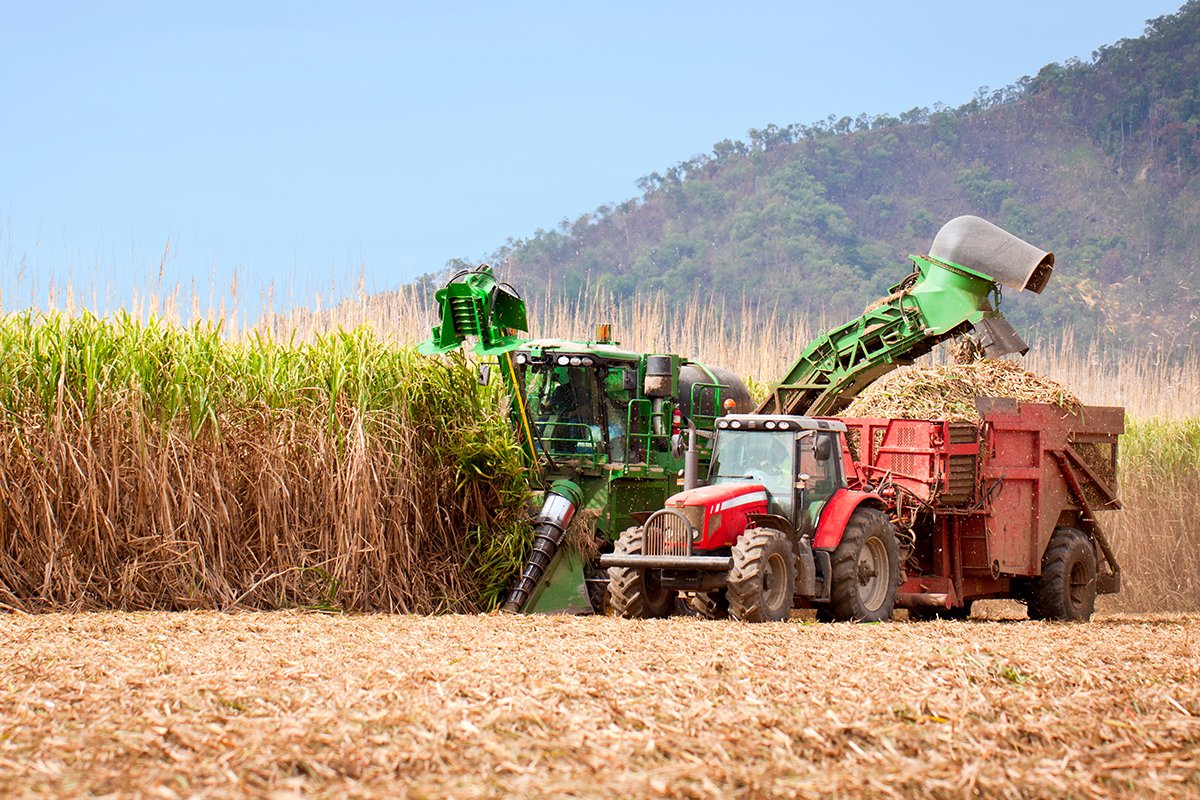 Brazil's sugarcane crop could help reduce carbon emissions