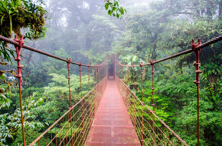 The top 10 rainforests you have to see