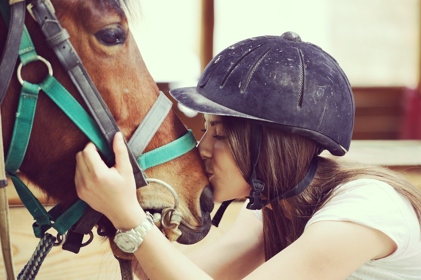 Horses can read the posture of humans