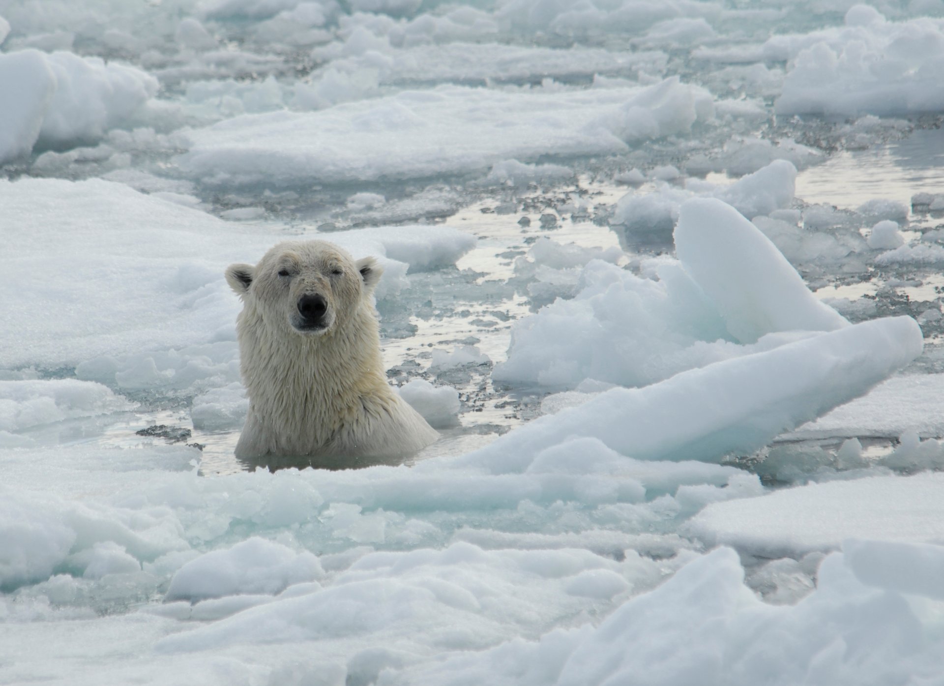 Fact vs opinion: Battling climate change misinformation online