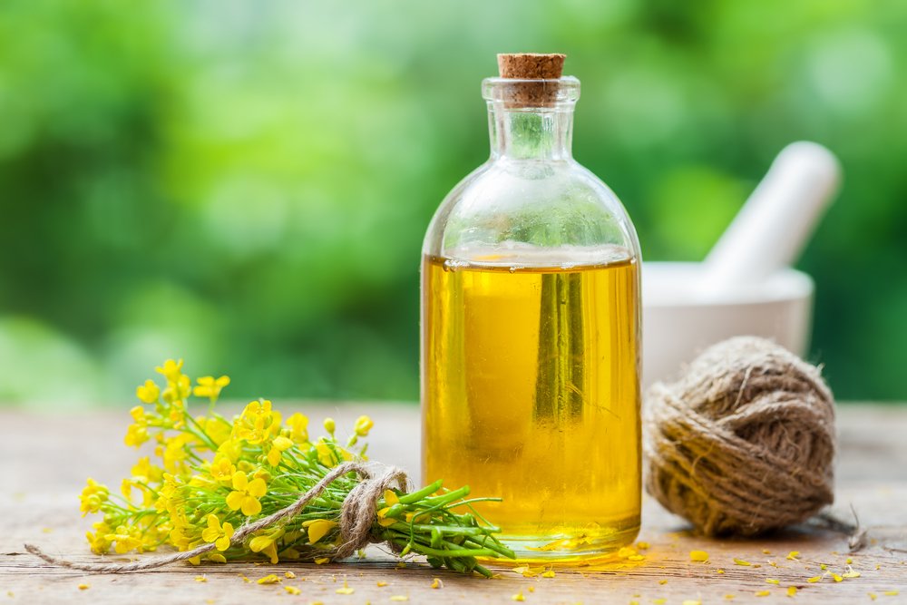 Canola oil linked to brain decline, weight gain