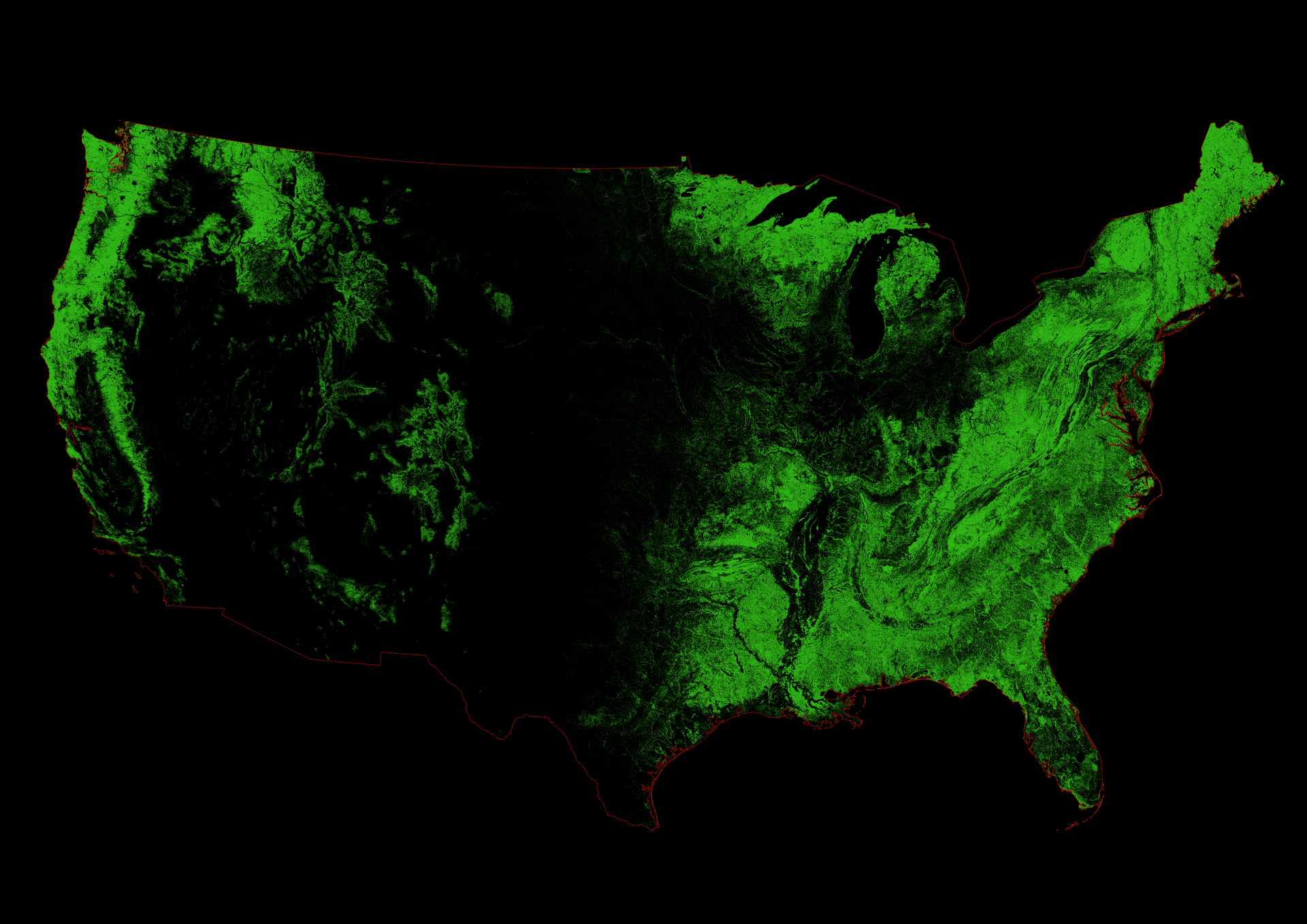 Geographer creates stunning map of U.S. forests