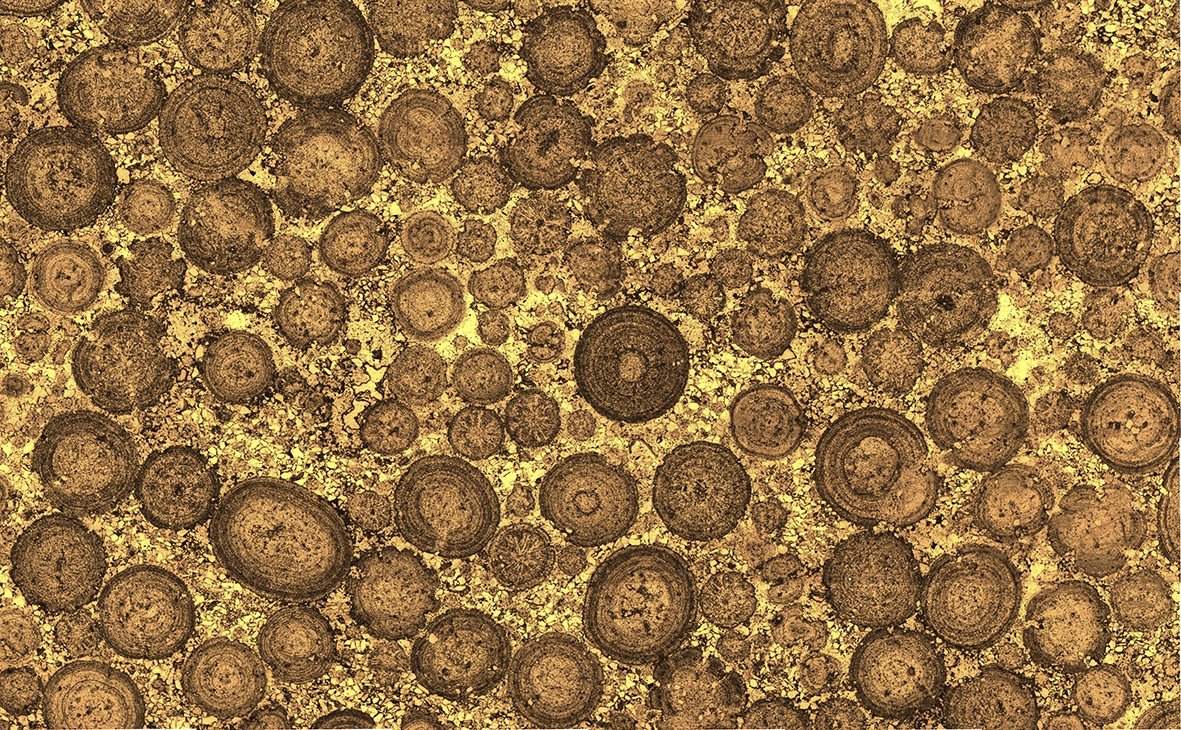 Empire State Building, Pentagon built with ancient microbes