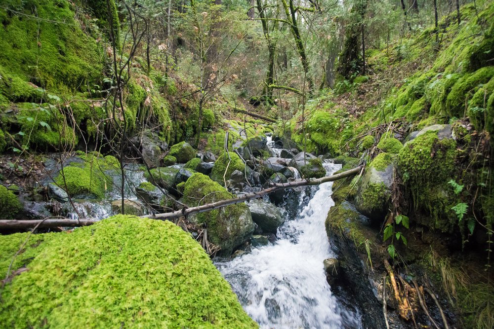 Project WET teaches students about water cycle, healthy ecosystems