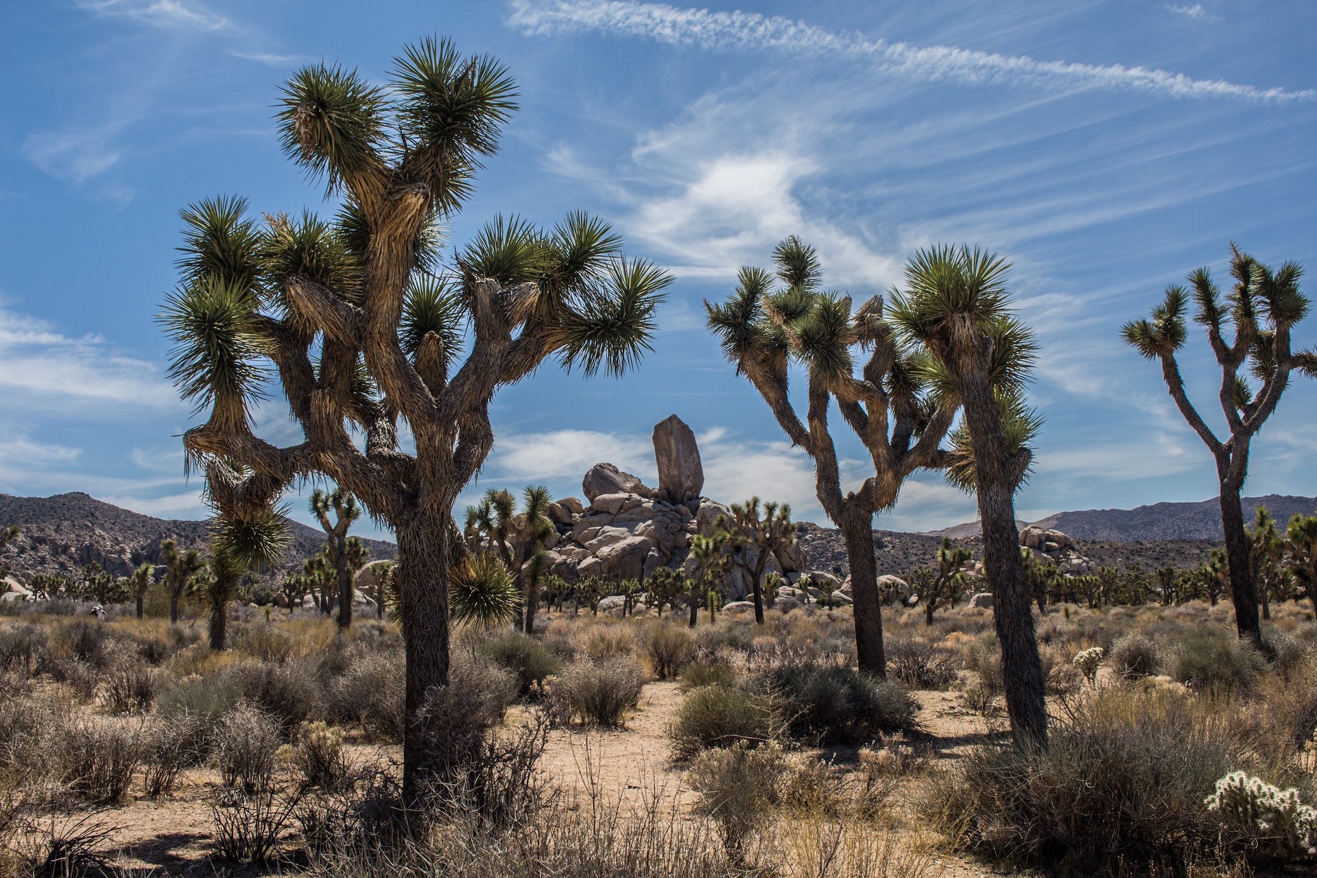 The end of the Great American Desert?