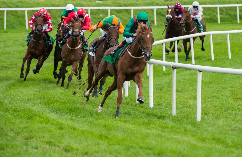 Unhealthy as a horse: study finds horse racing linked to death