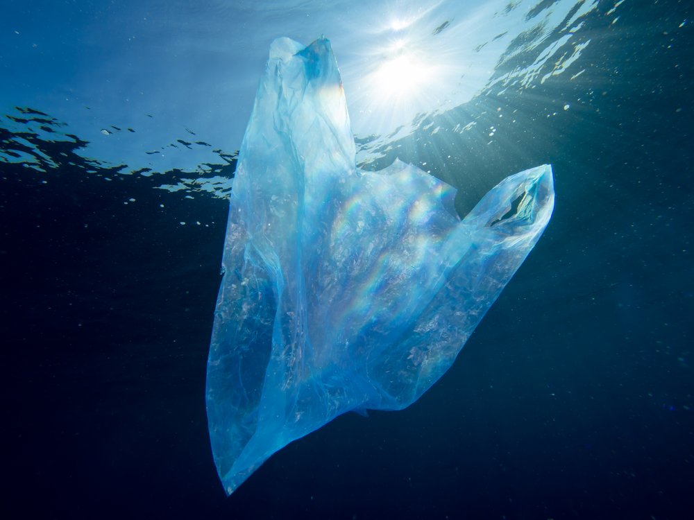 Not even the Mariana Trench is free of plastic trash