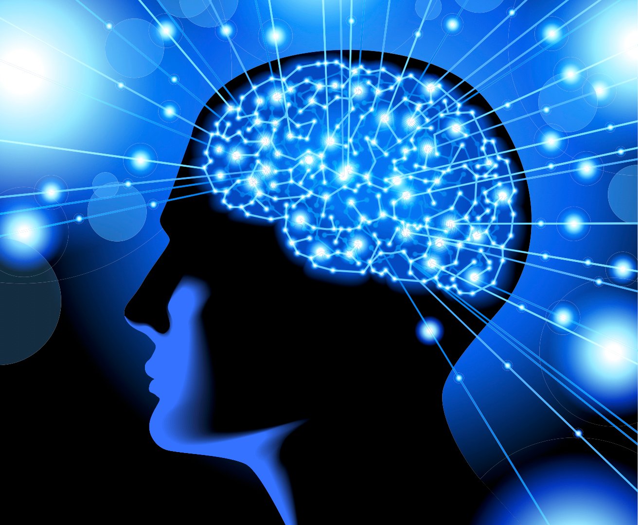 How the human brain grew to be so big