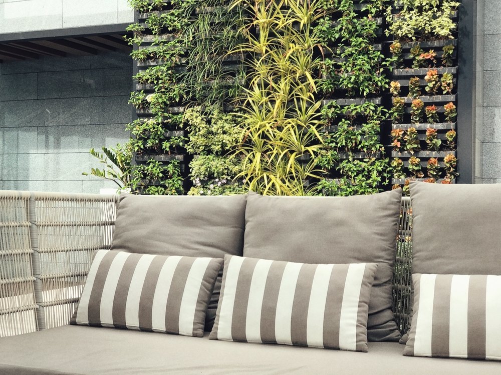 Gas-detecting plants could act as home health monitors
