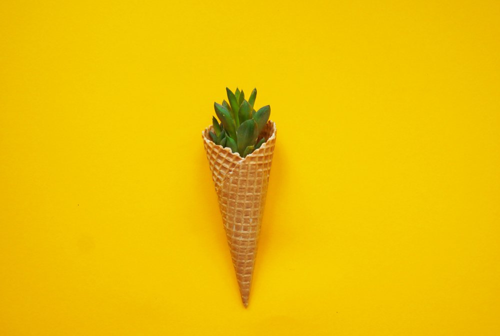 How to find loads of helpful gardening hacks on social media