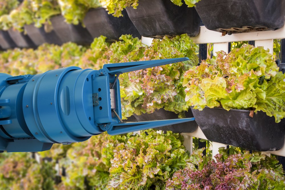 'Vegebot' can harvest lettuce thanks to machine learning