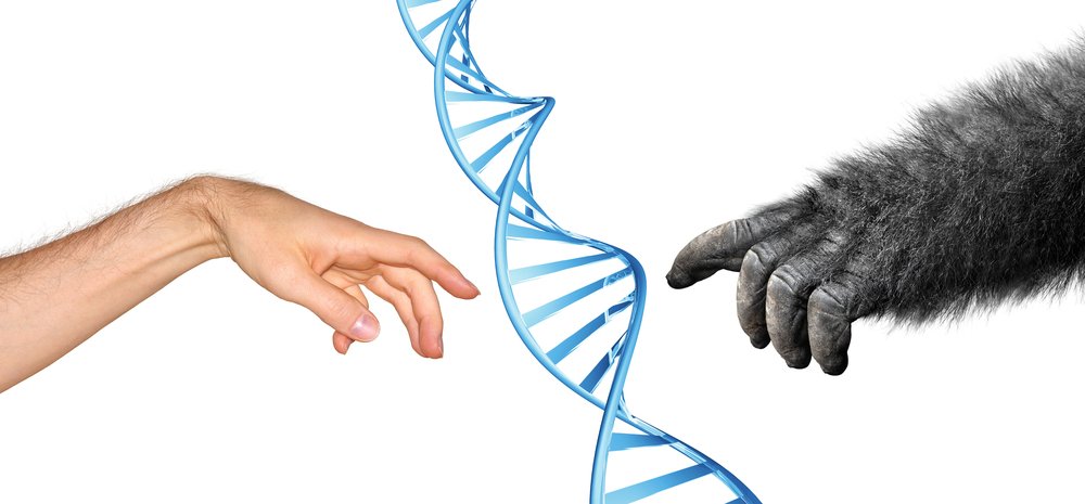 Scientists grow first human-monkey hybrid in China