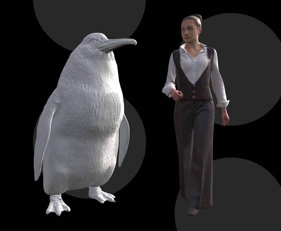 Newly described species of extinct penguin was 5 feet tall
