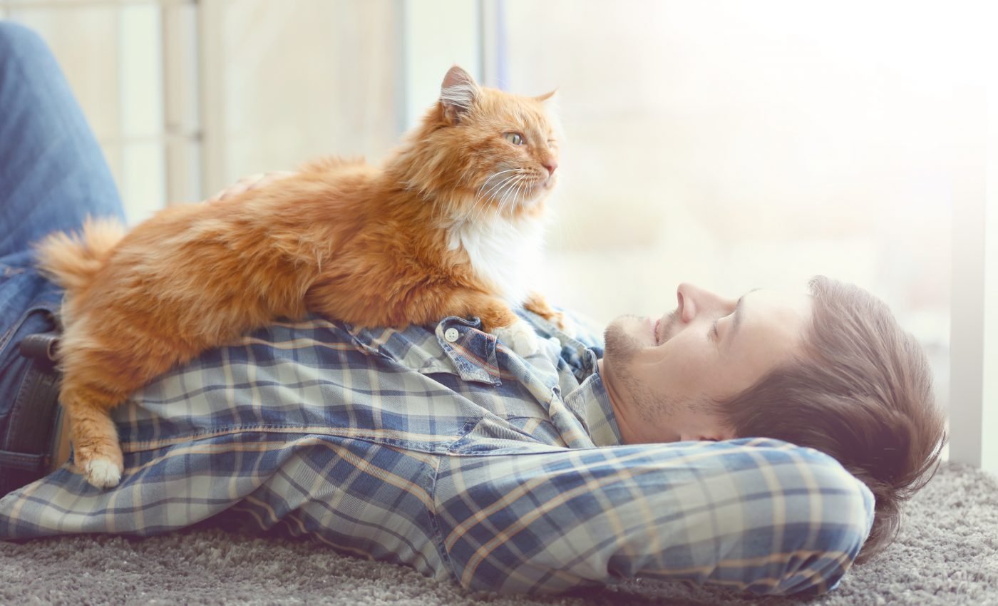 Some cat owners care about their pet's impact on wildlife conservation