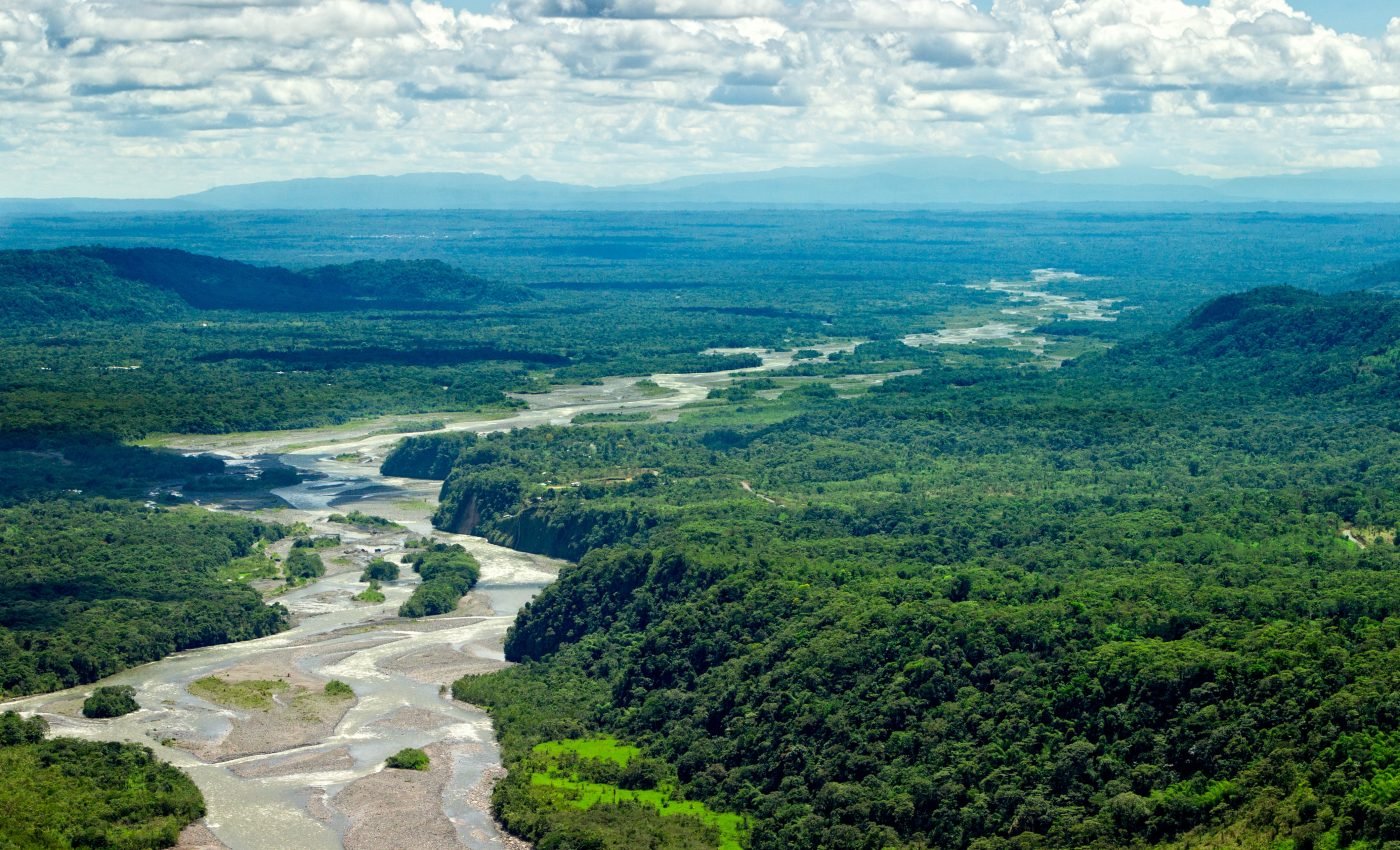 Conservation planning in the Amazon should be redirected to freshwater species