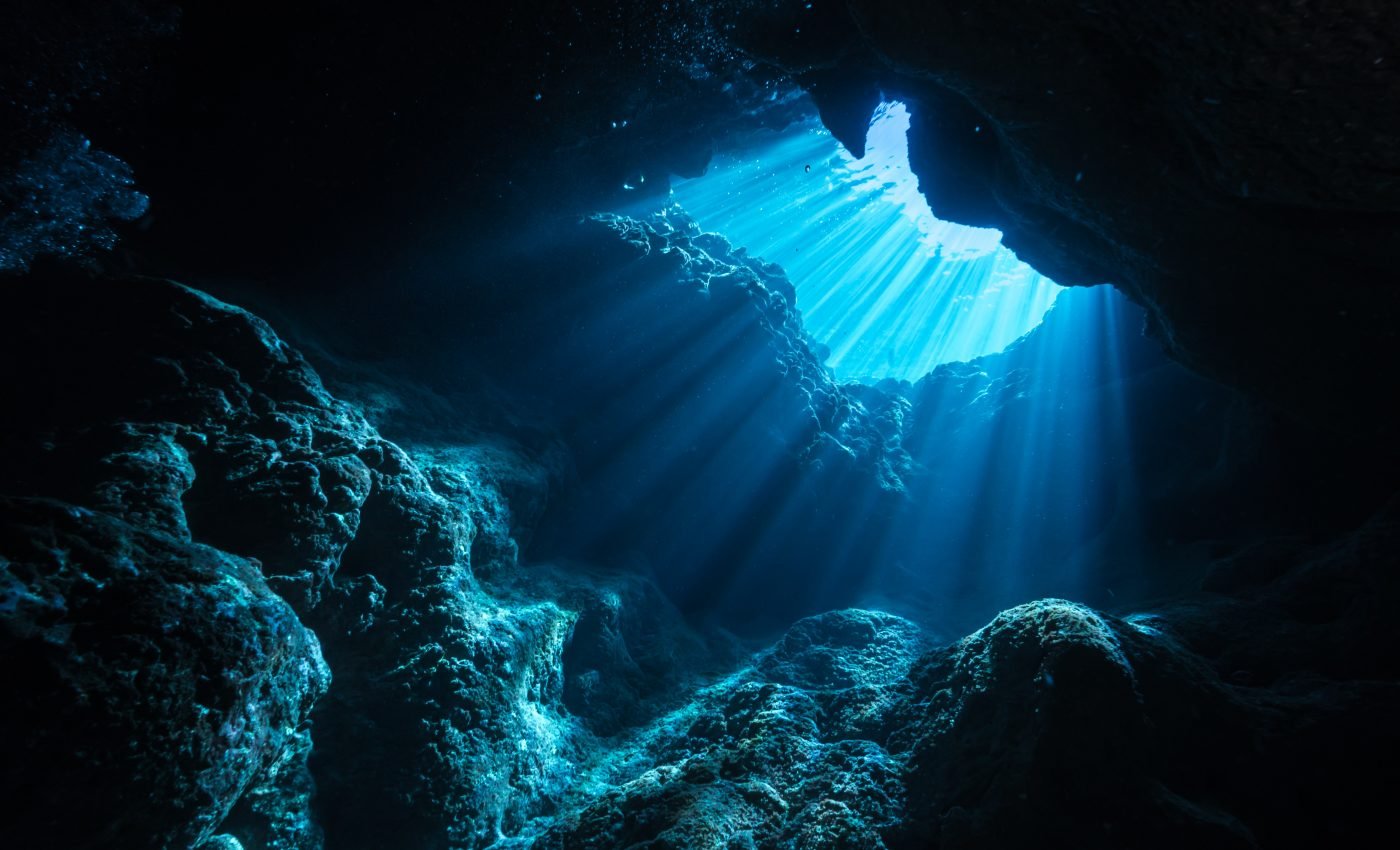 Ancient marine predator could float motionless in the water