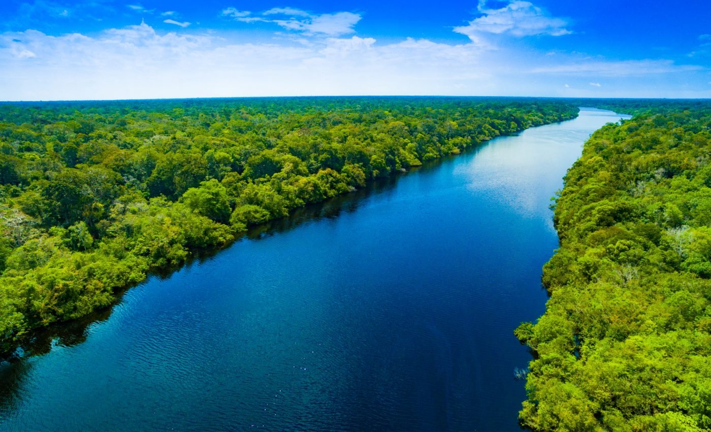 Some parts of the Amazon rainforest will thrive in a warming climate
