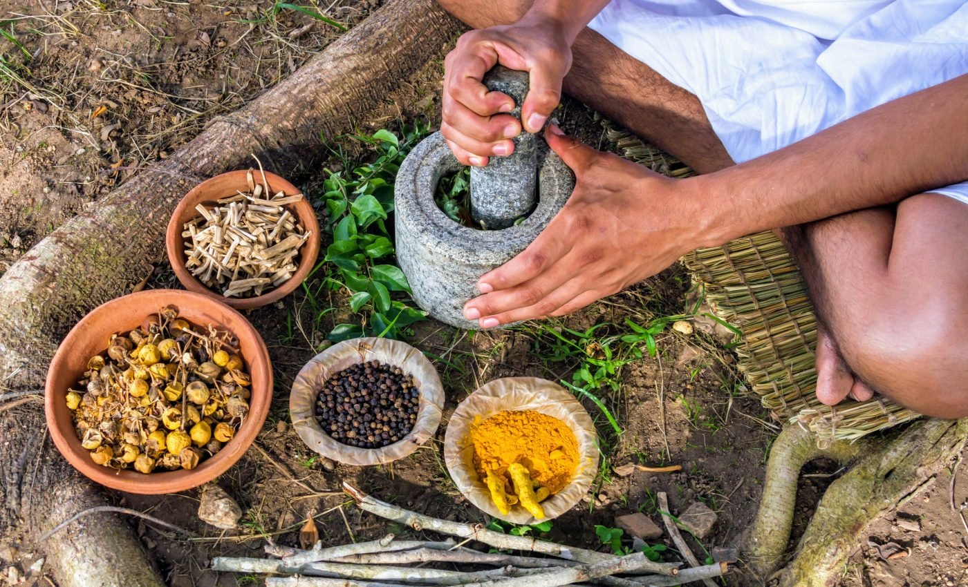 Understanding Chinese medicine could protect endangered animals