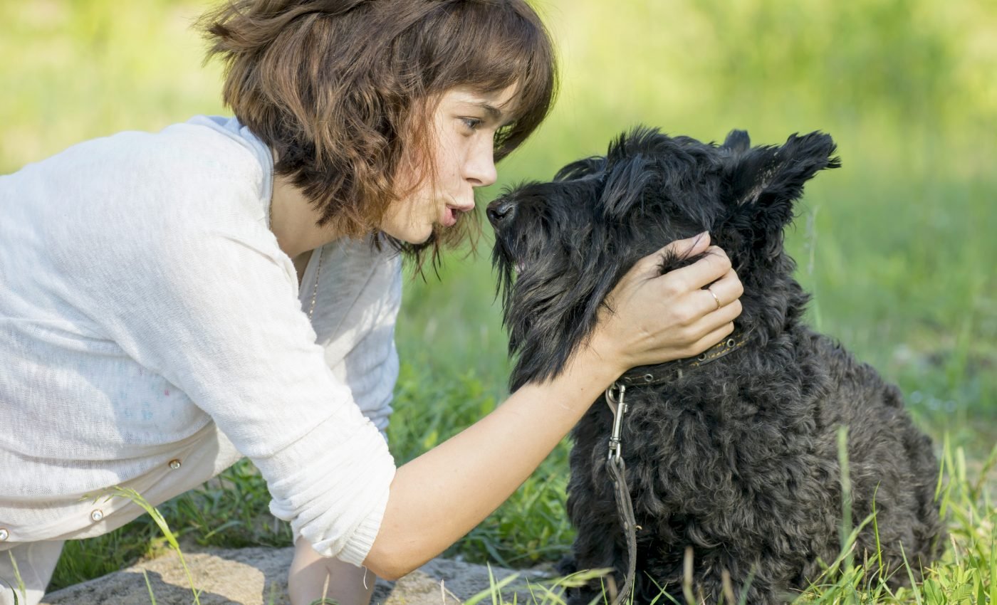 Gifted dogs can learn words after hearing them four times
