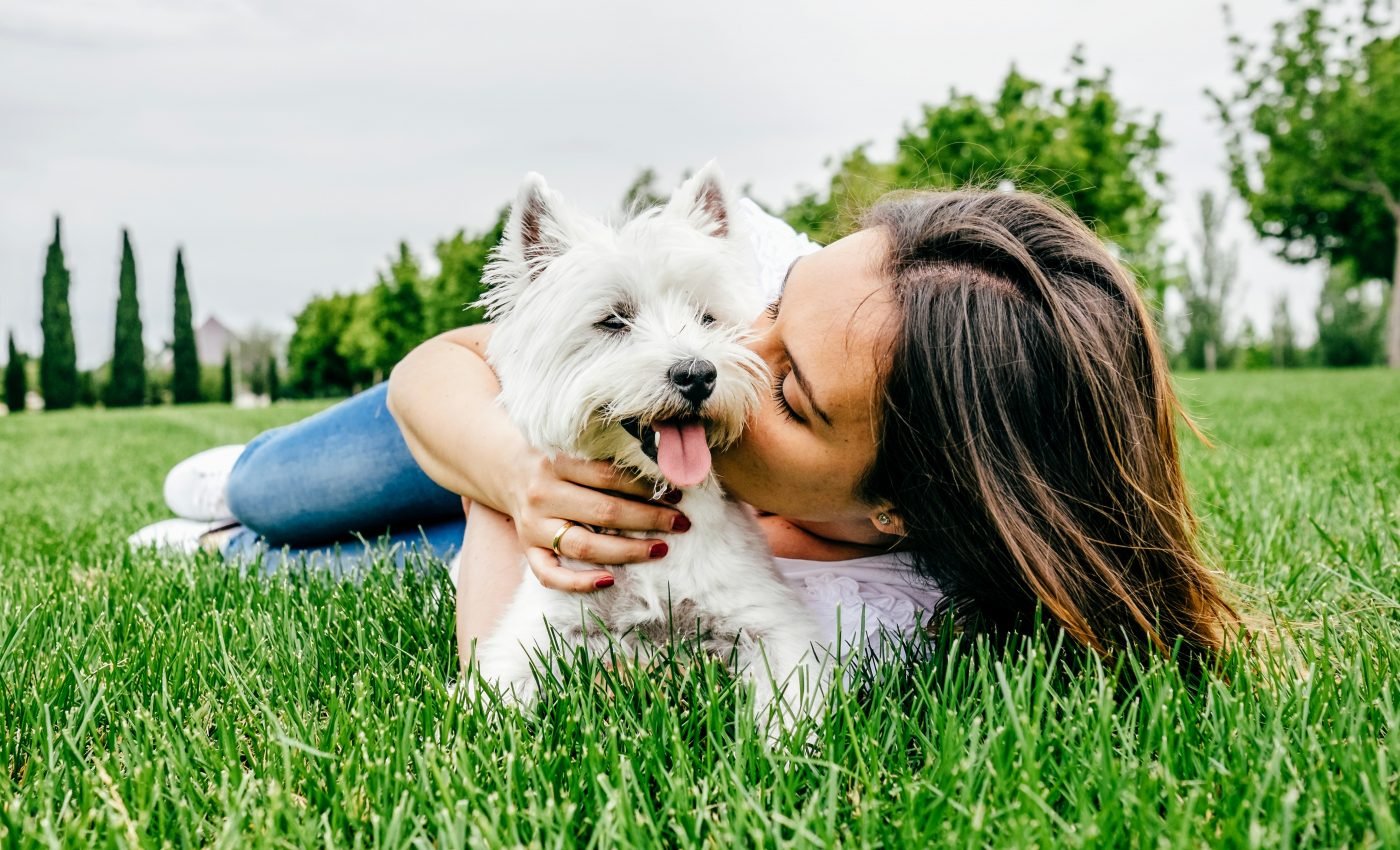 Women had a stronger influence on the dog-human connection