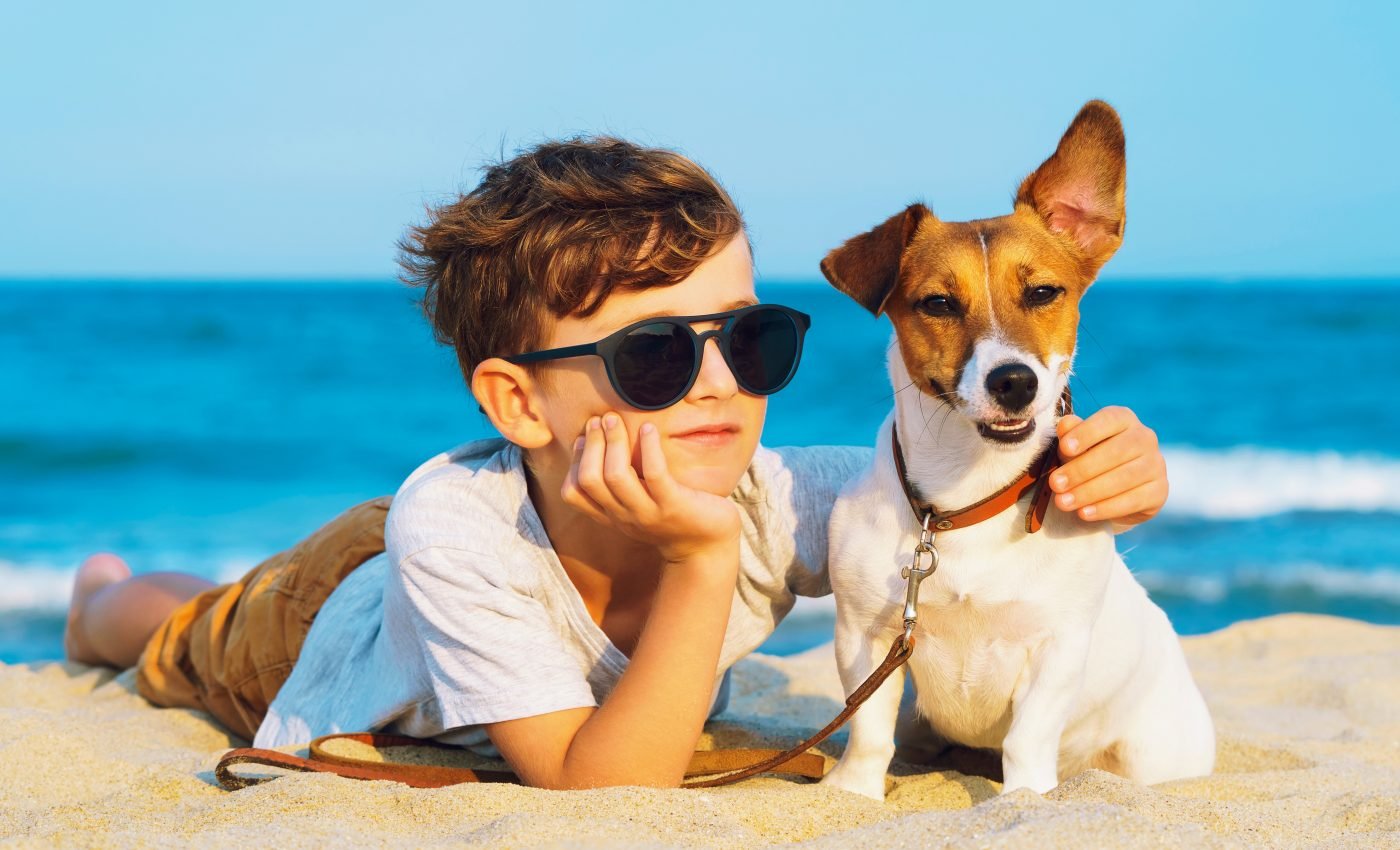 Dogs help children improve their confidence and social skills
