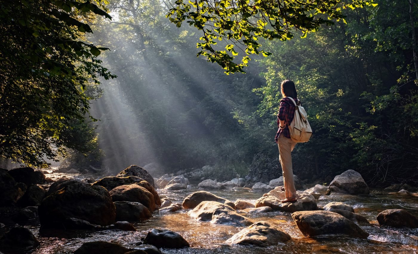 Few of Earth's wilderness areas remain ecologically intact