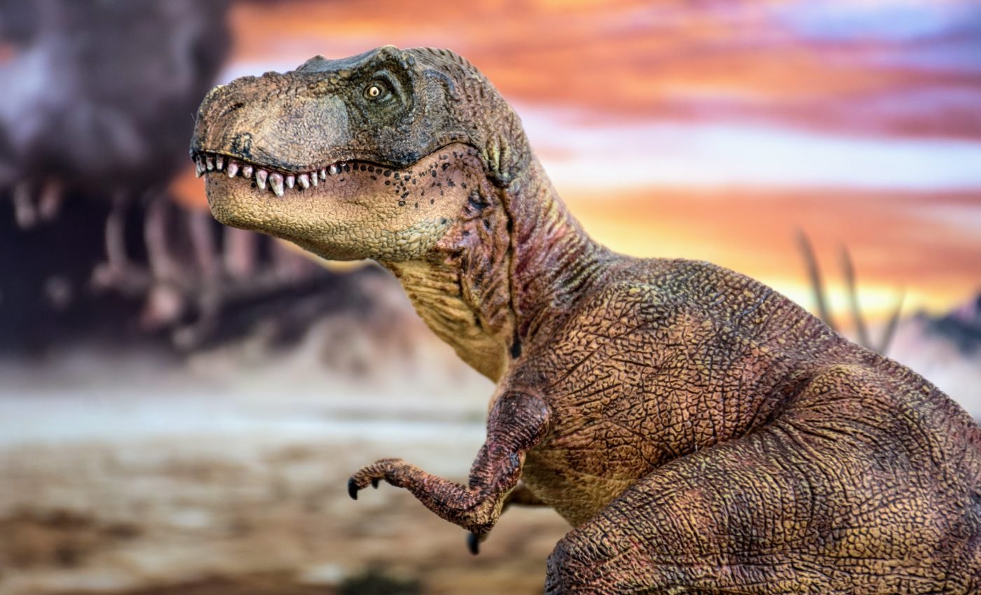 Young tyrannosaurs practiced biting as they waited for adult teeth