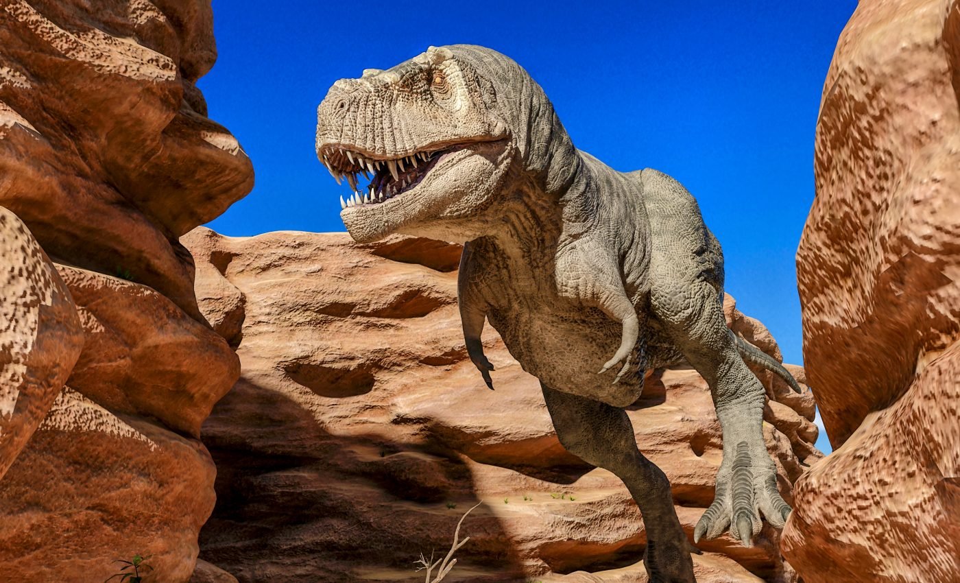 Young Tyrannosaurs displaced medium-sized predators