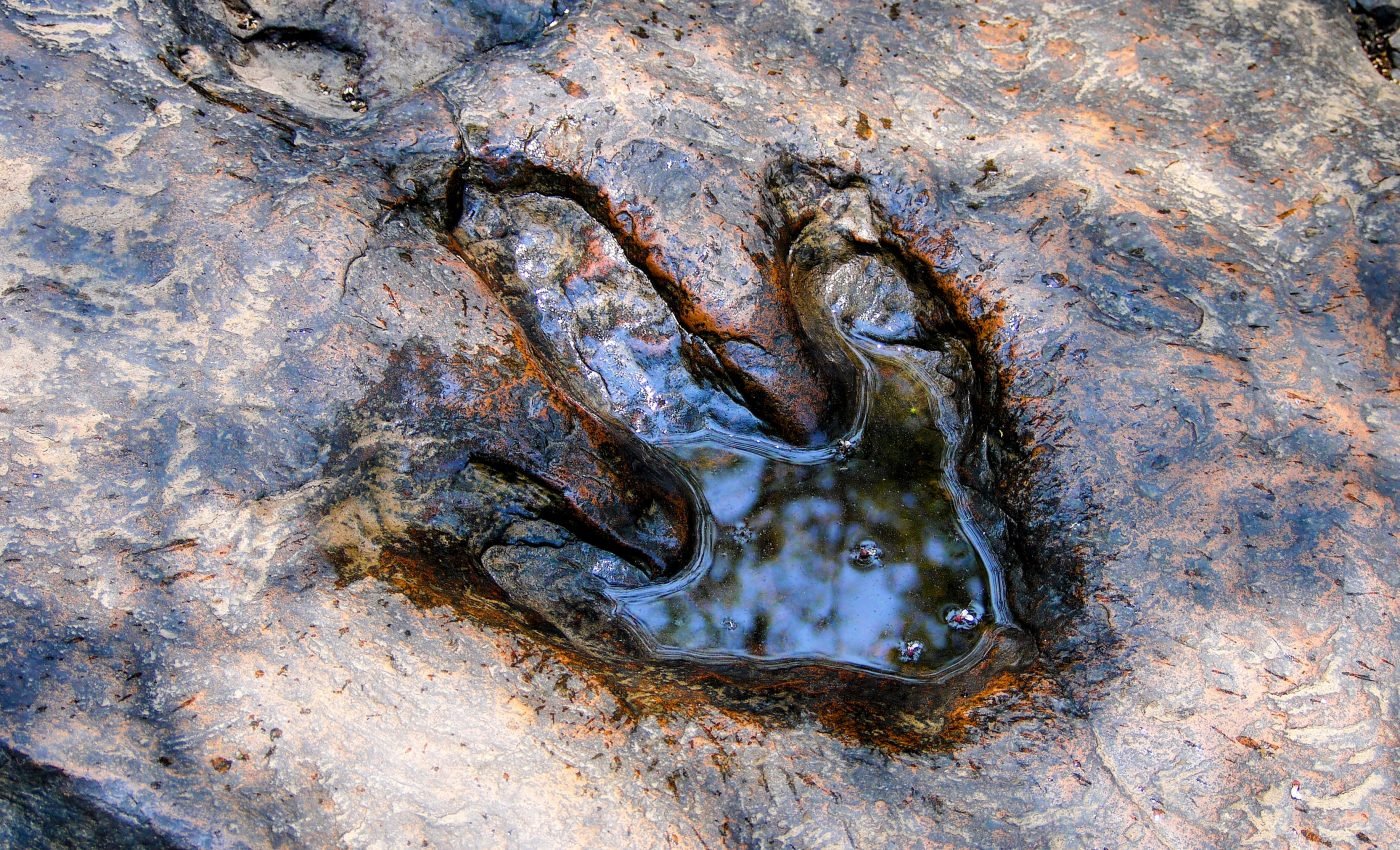 Dinosaurs were already in trouble before extinction