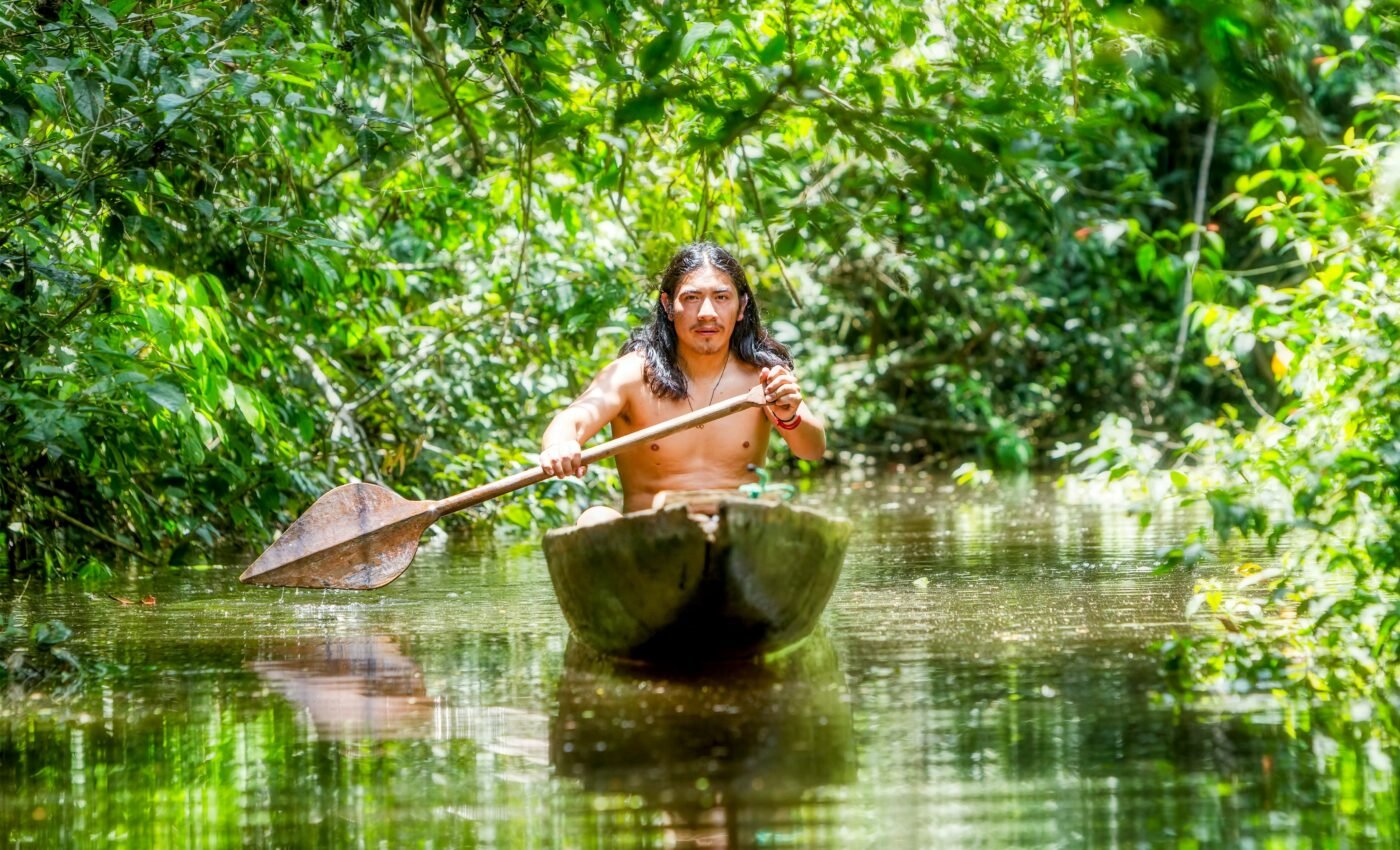 Part of the Amazon now releases more carbon than it stores