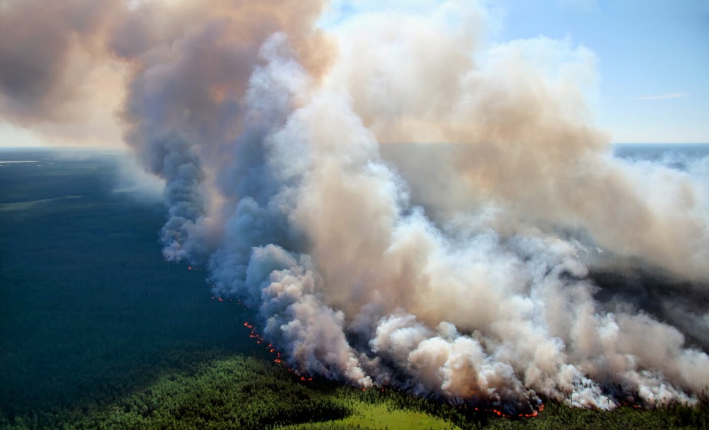 Wildfire pollution increases mortality