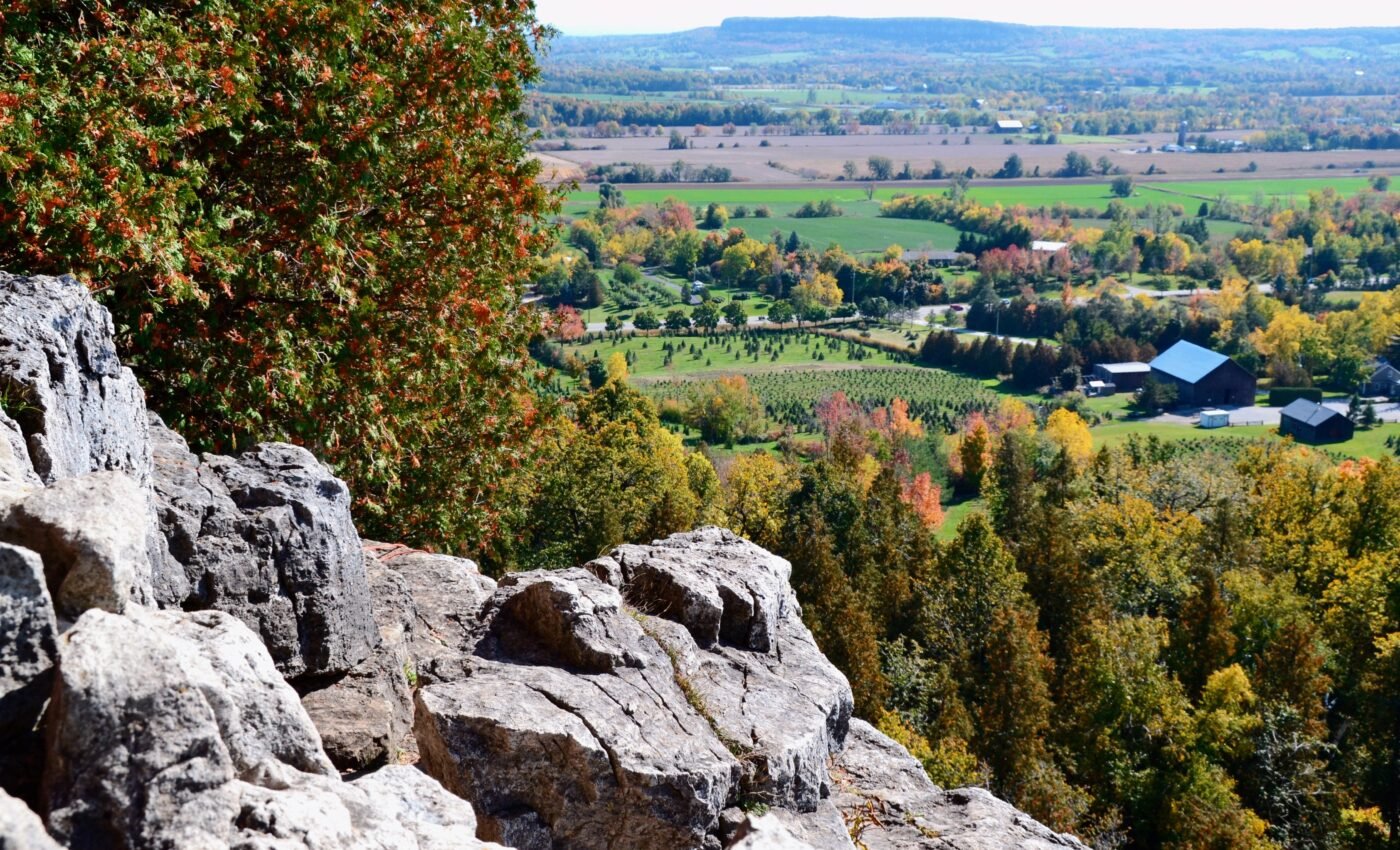 Bedrock may be secretly supplying trees with water