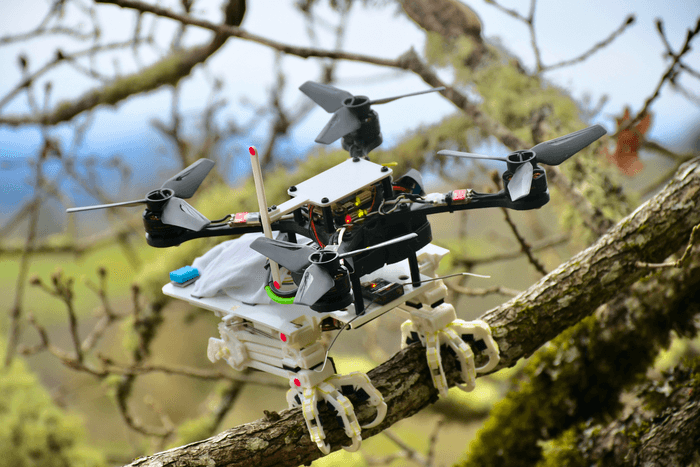 Engineers create perching bird-like robot