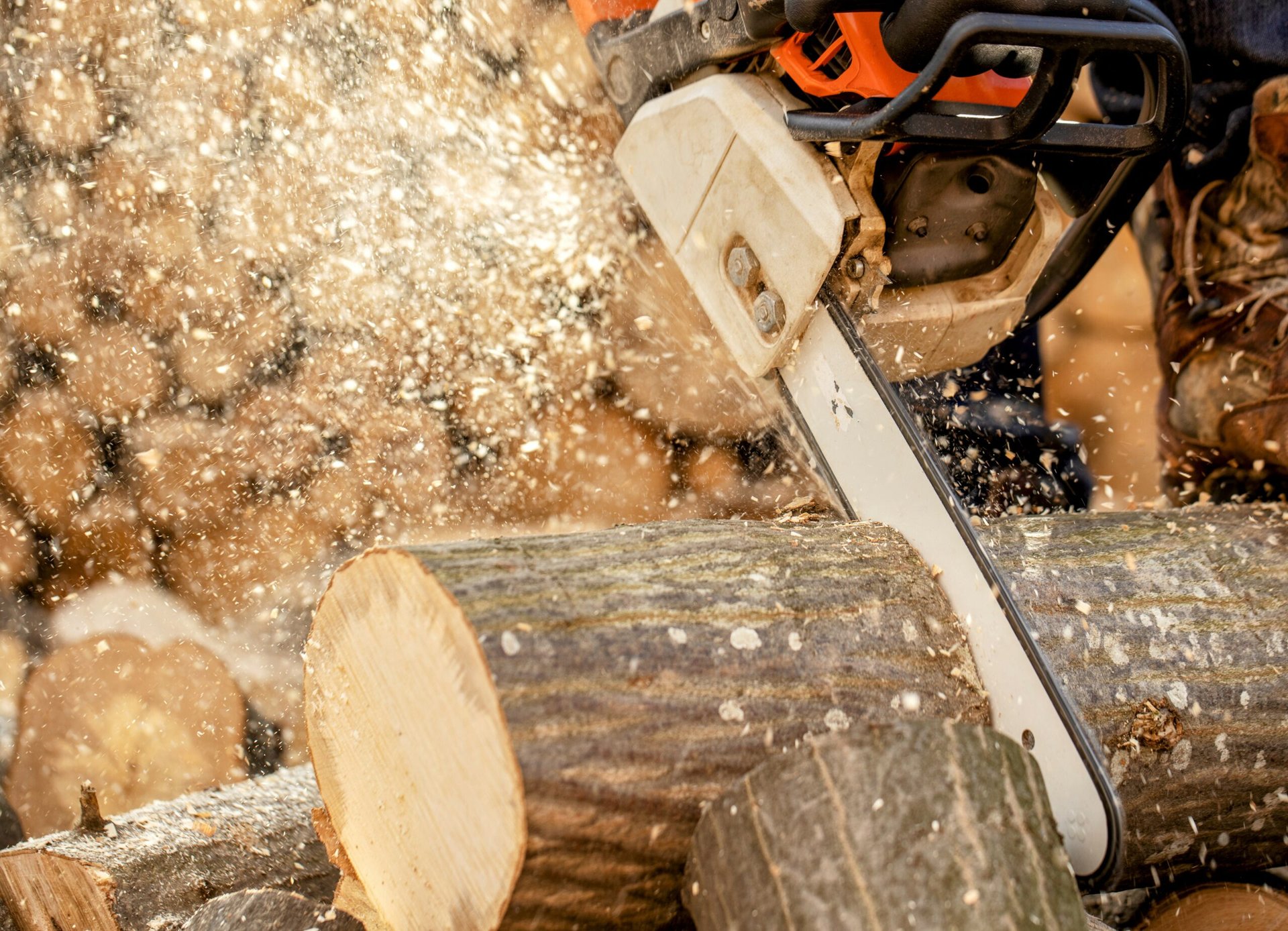 Sawdust shows great potential for capturing carbon