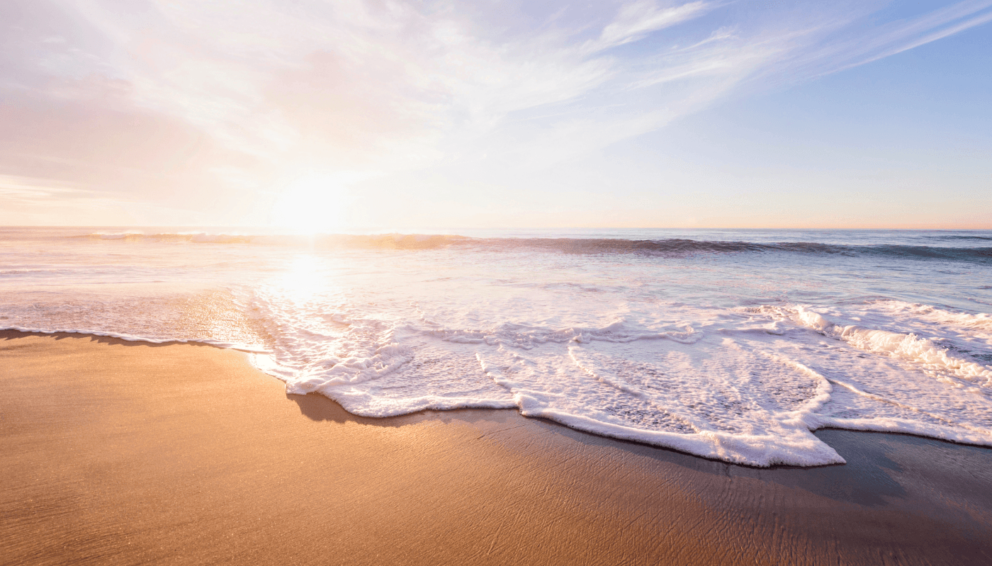Marine bacteria hunt with purpose