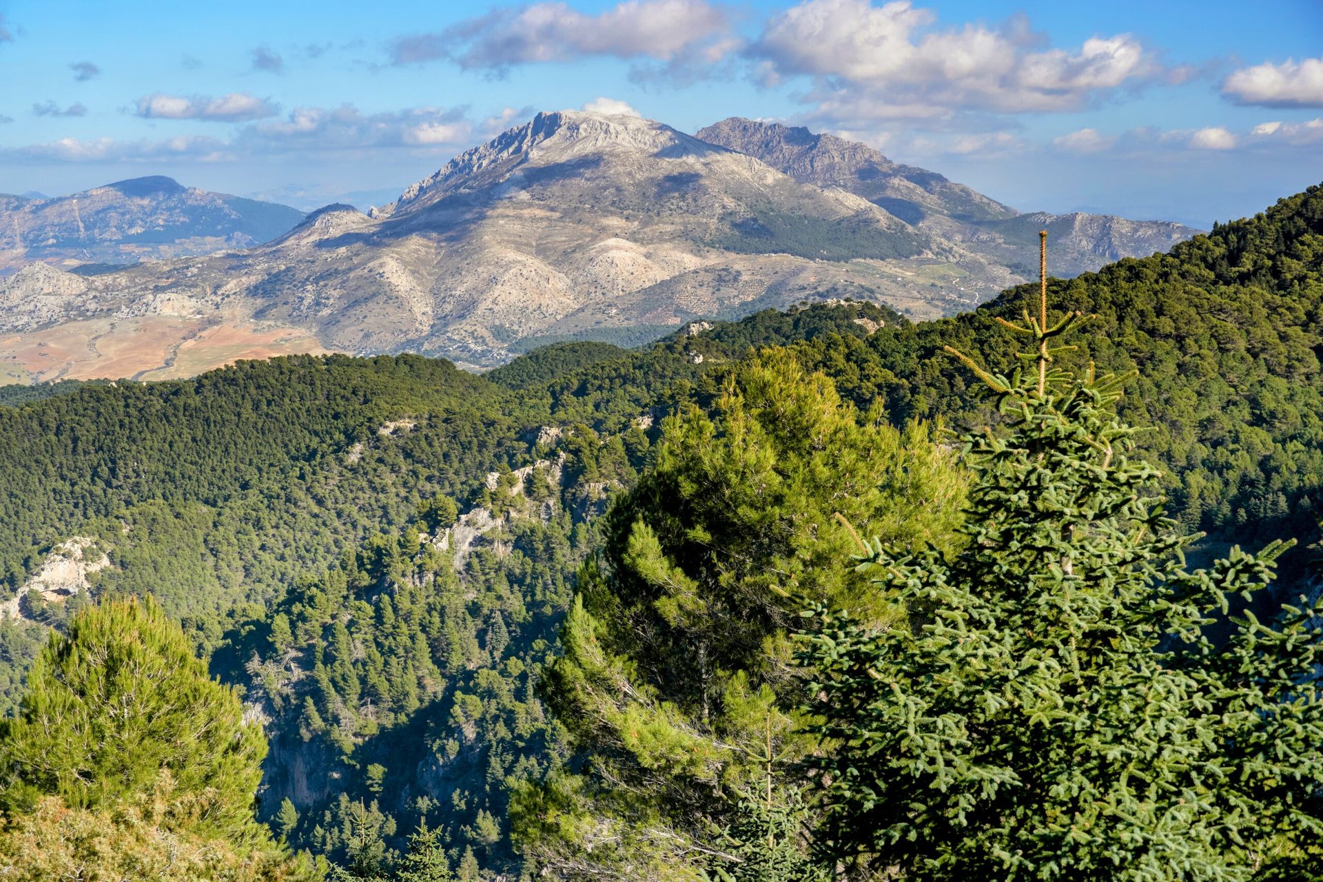 New monitoring method may help prevent biodiversity loss