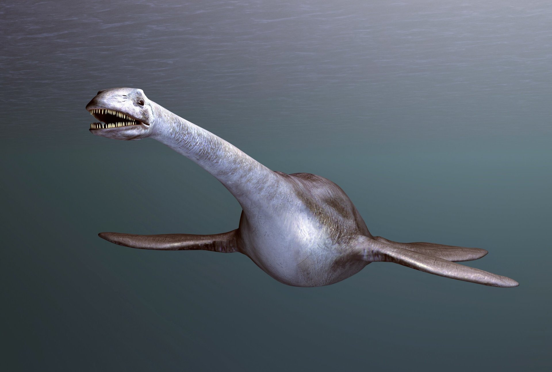Plesiosaurs with long necks needed large bodies to minimize friction