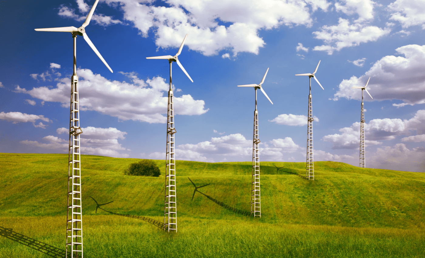 Bat deaths caused by wind turbines disrupt natural food chains