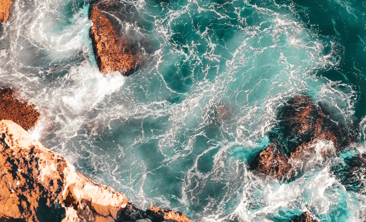 World Ocean Day: Take action to protect and restore nature