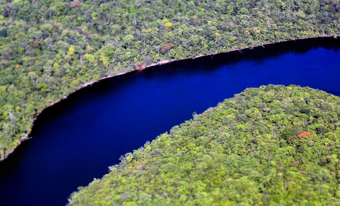 Overfishing is wiping out large-bodied fish in the Amazon