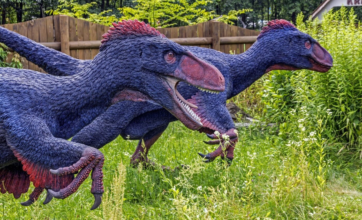 Feathers were the secret of dinosaur success