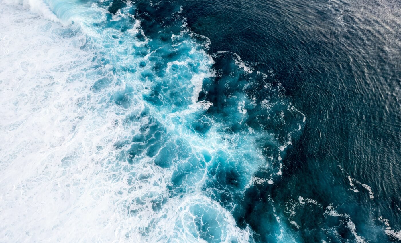 Shifting ocean conditions influence Chago whale migrations