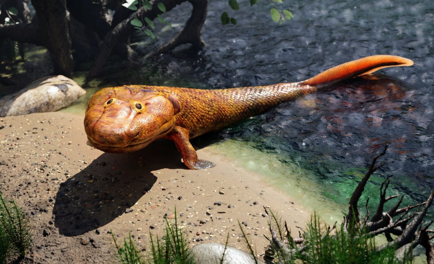 Fossil fish from Tiktaalik’s time chose life in the water