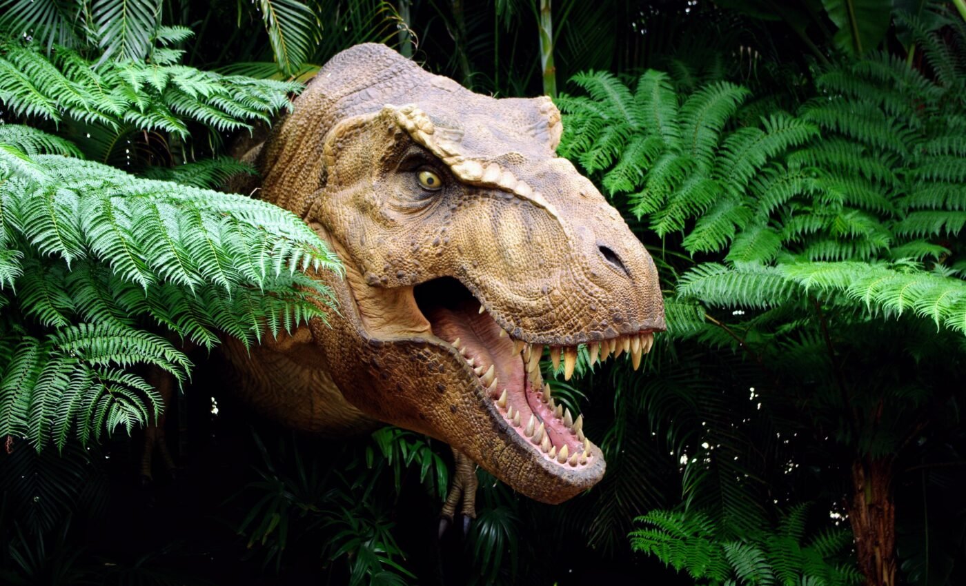 New study refutes the claim that T. rex was multiple species